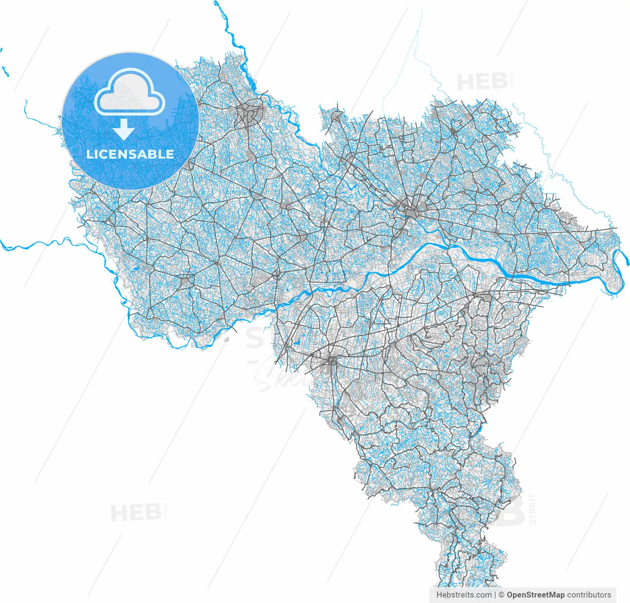 Pavia, Lombardy, Italy, high resolution vector map - Instant download PDF and JPG
