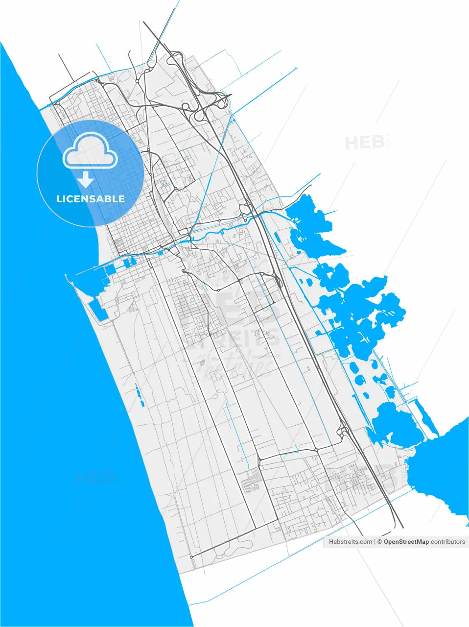 Viareggio, Tuscany, Italy, high resolution vector map - Instant download PDF and JPG
