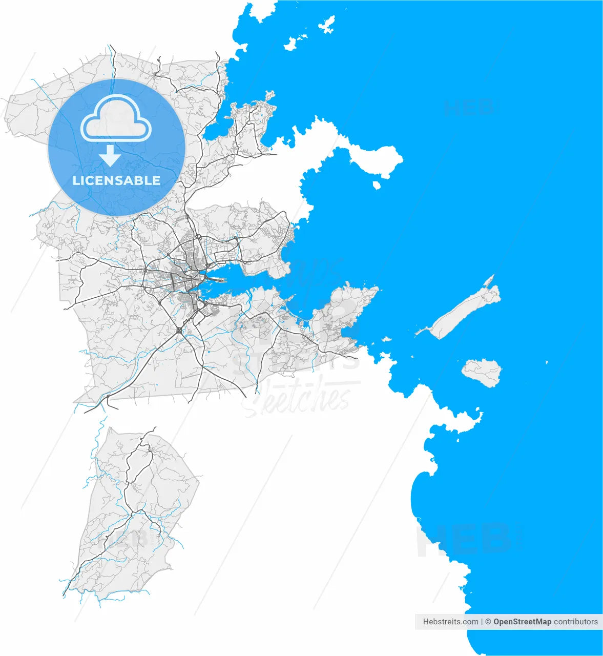 Olbia, Sardinia, Italy, high resolution vector map - Instant download PDF and JPG