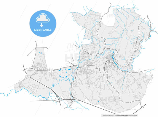 Tivoli, Lazio, Italy, high resolution vector map - Instant download PDF and JPG