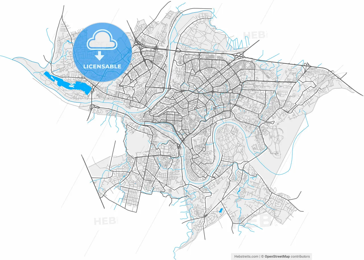 Kaunas, Kaunas County, Lithuania, high resolution vector map - Instant download PDF and JPG