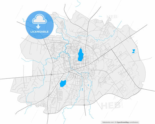 Utena, Utena County, Lithuania, high resolution vector map - Instant download PDF and JPG