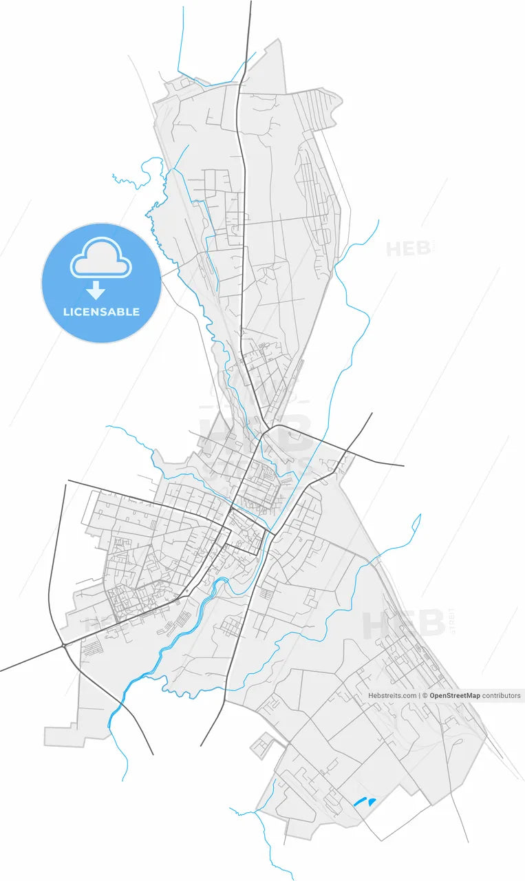 Kėdainiai, Kaunas County, Lithuania, high resolution vector map - Instant download PDF and JPG