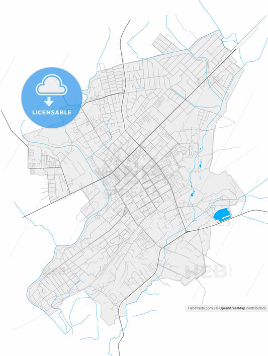 Tauragė, Tauragė County, Lithuania, high resolution vector map - Instant download PDF and JPG
