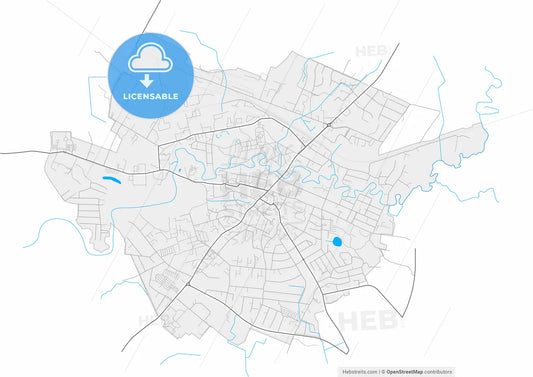 Plungė, Telšiai County, Lithuania, high resolution vector map - Instant download PDF and JPG
