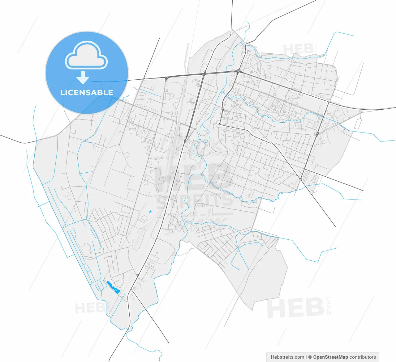 Kretinga, Klaipėda County, Lithuania, high resolution vector map - Instant download PDF and JPG