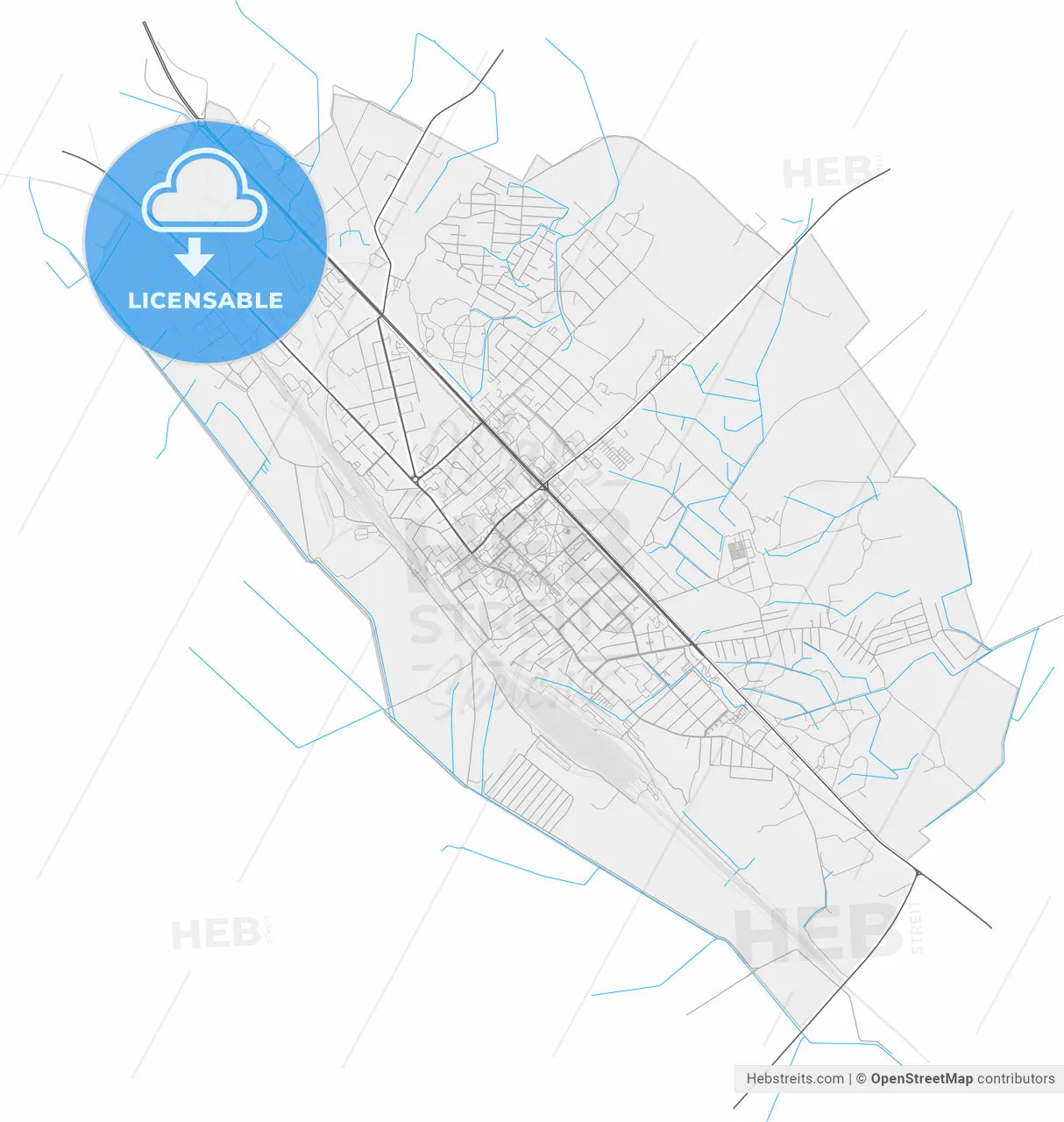 Radviliškis, Šiauliai County, Lithuania, high resolution vector map - Instant download PDF and JPG