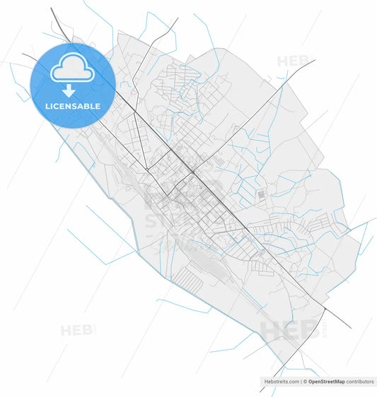 Radviliškis, Šiauliai County, Lithuania, high resolution vector map - Instant download PDF and JPG
