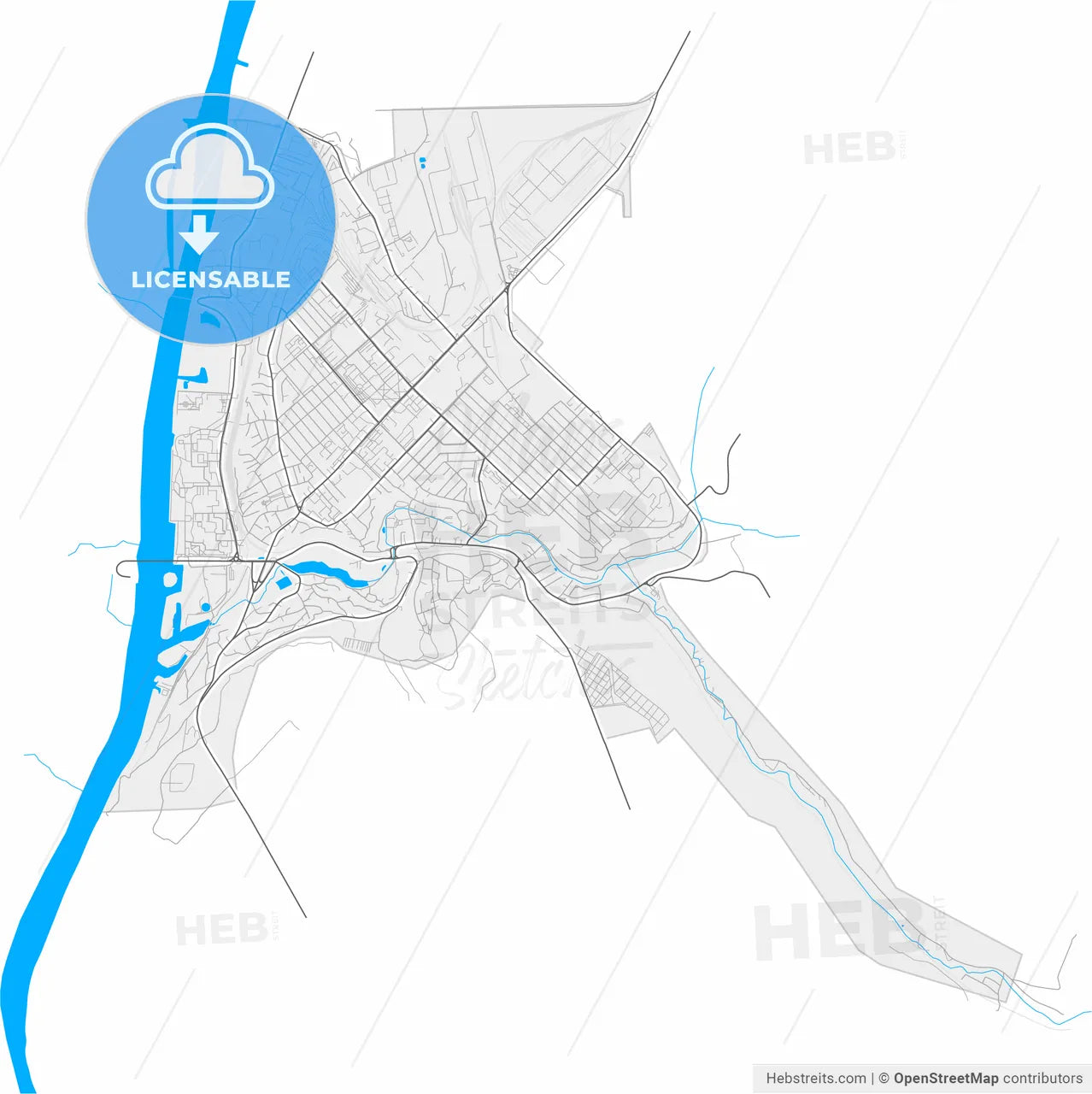 Rîbnița, Transnistria, Moldova, high resolution vector map - Instant download PDF and JPG