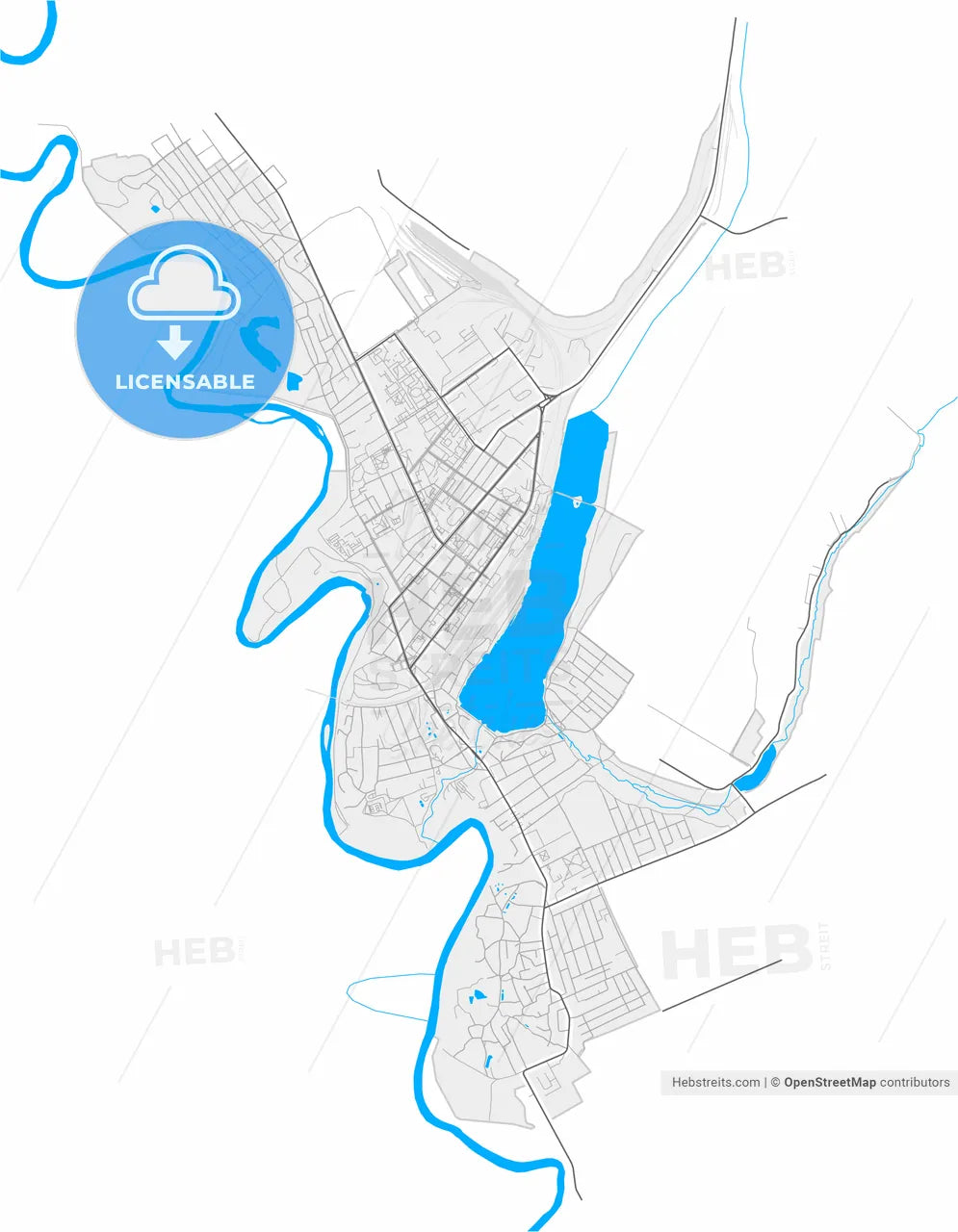 Ungheni, Ungheni district, Moldova, high resolution vector map - Instant download PDF and JPG