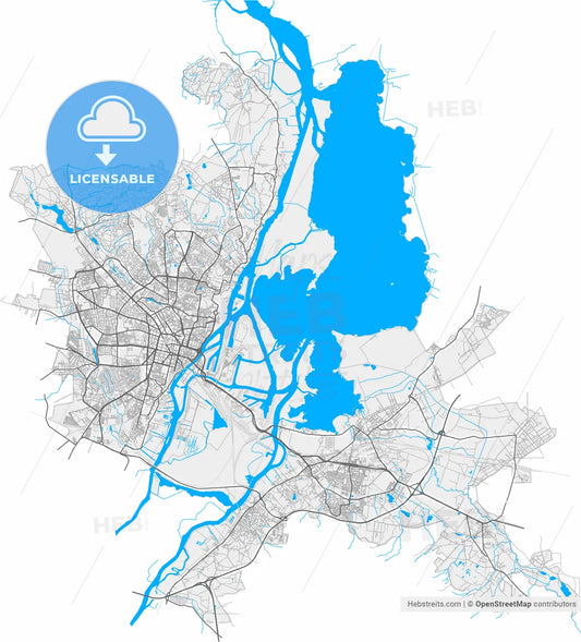 Szczecin, West Pomeranian, Poland, high resolution vector map - Instant download PDF and JPG