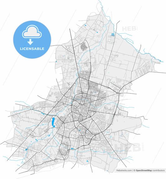 Radom, Masovian, Poland, high resolution vector map - Instant download PDF and JPG