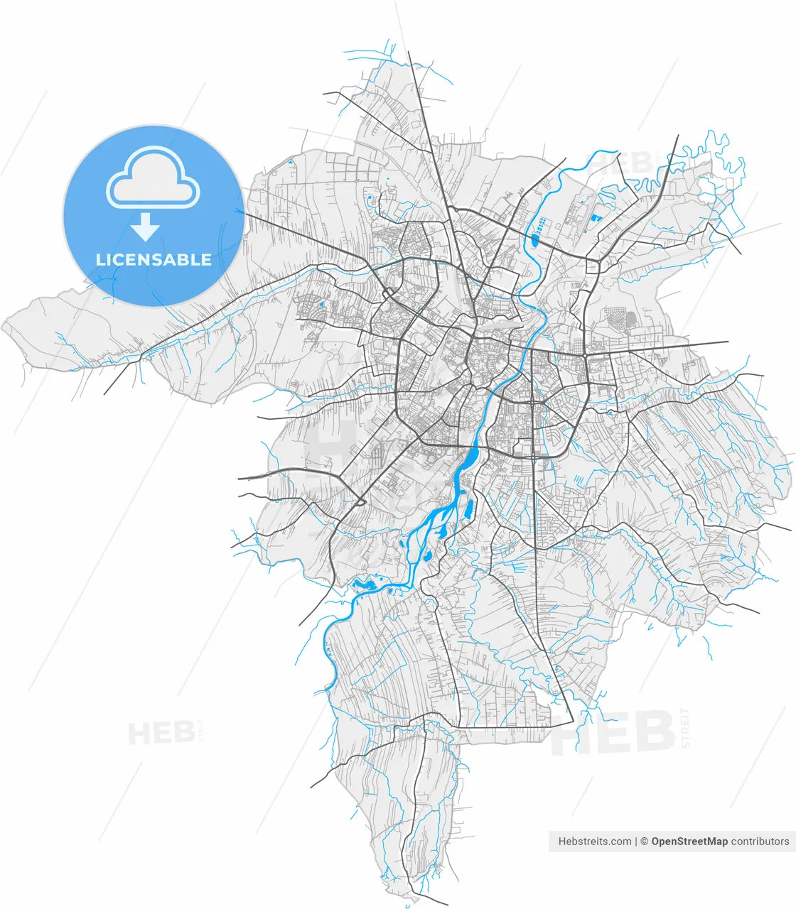 Rzeszów, Podkarpackie, Poland, high resolution vector map - Instant download PDF and JPG