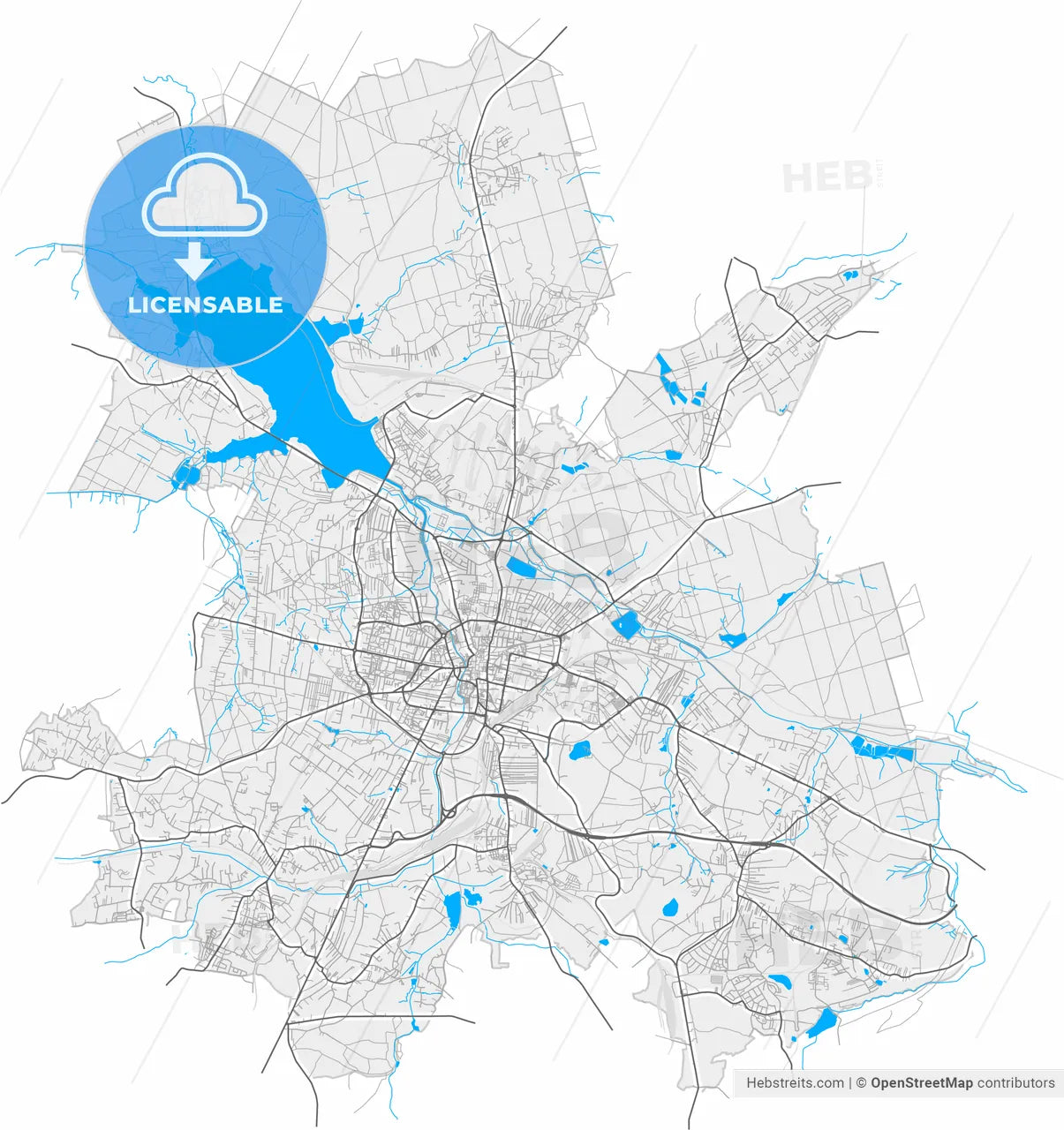 Rybnik, Silesian, Poland, high resolution vector map - Instant download PDF and JPG