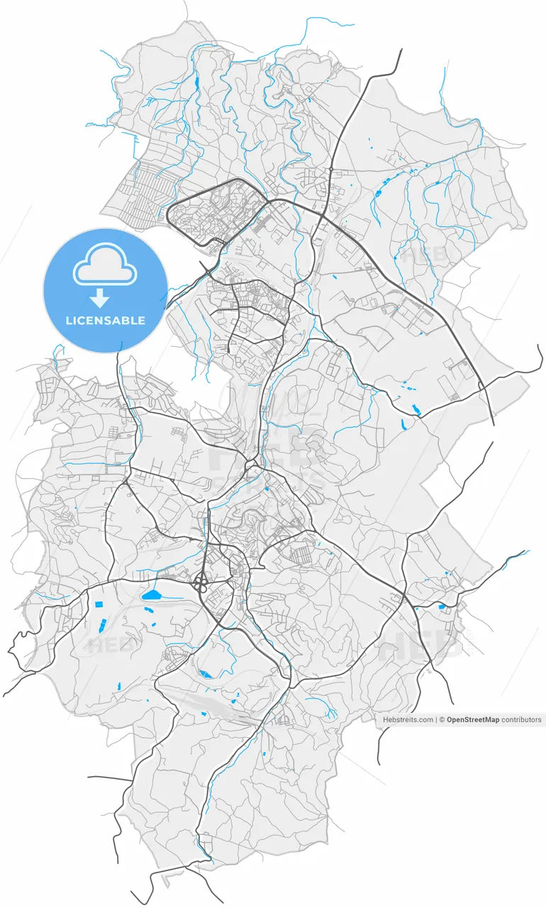 Wałbrzych, Lower Silesian, Poland, high resolution vector map - Instant download PDF and JPG
