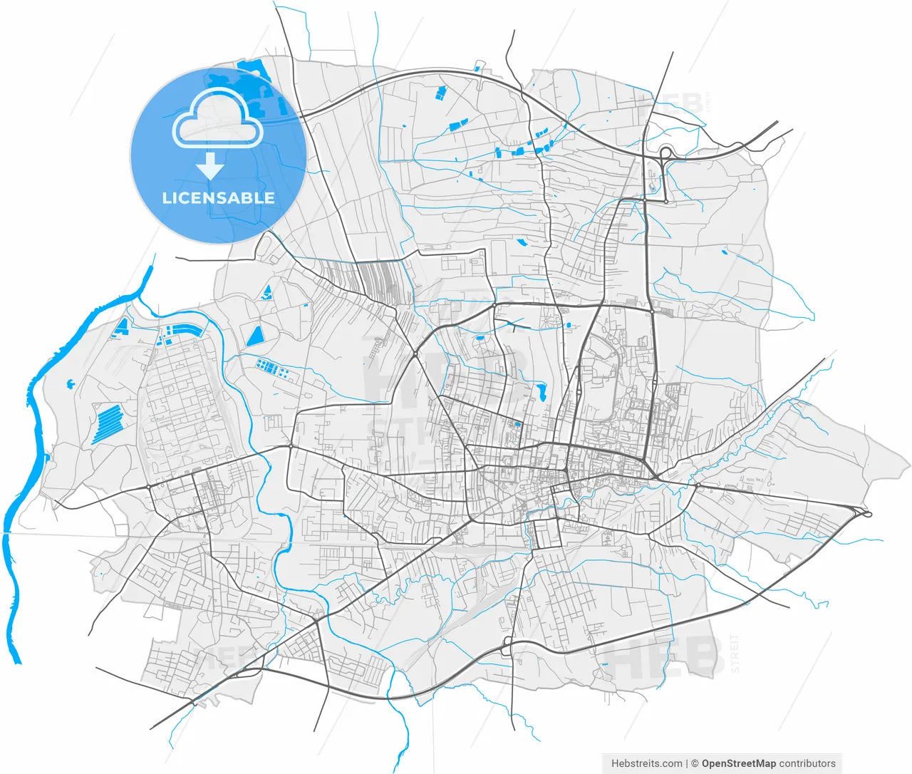 Tarnów, Lesser Poland, Poland, high resolution vector map - Instant download PDF and JPG