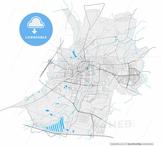 Legnica, Lower Silesian, Poland, high resolution vector map - Instant download PDF and JPG