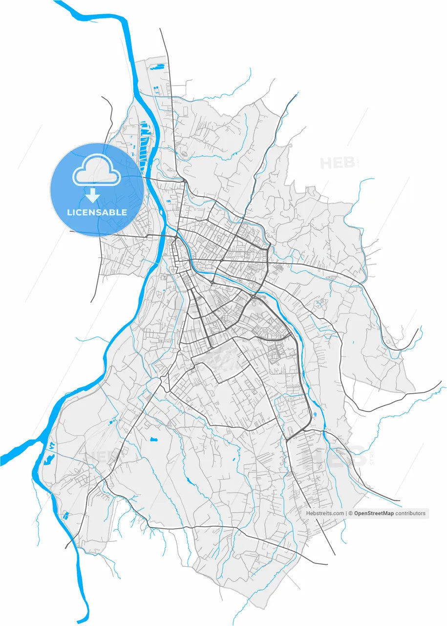 Nowy Sącz, Lesser Poland, Poland, high resolution vector map - Instant download PDF and JPG