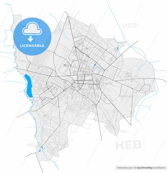 Siedlce, Masovian, Poland, high resolution vector map - Instant download PDF and JPG