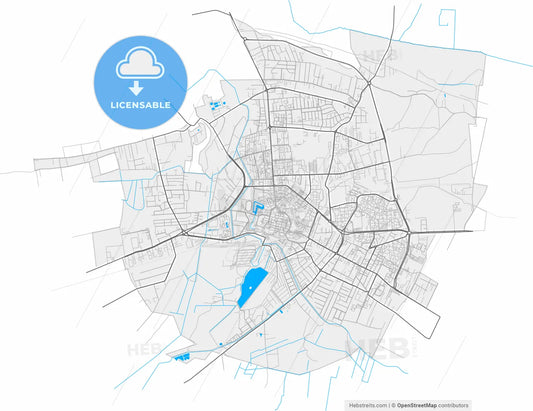 Zamość, Lublin, Poland, high resolution vector map - Instant download PDF and JPG