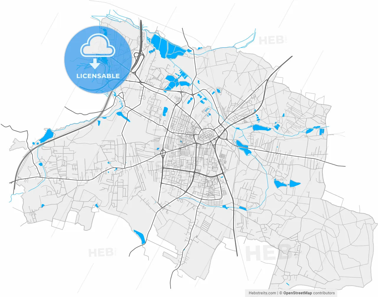 Żory, Silesian, Poland, high resolution vector map - Instant download PDF and JPG