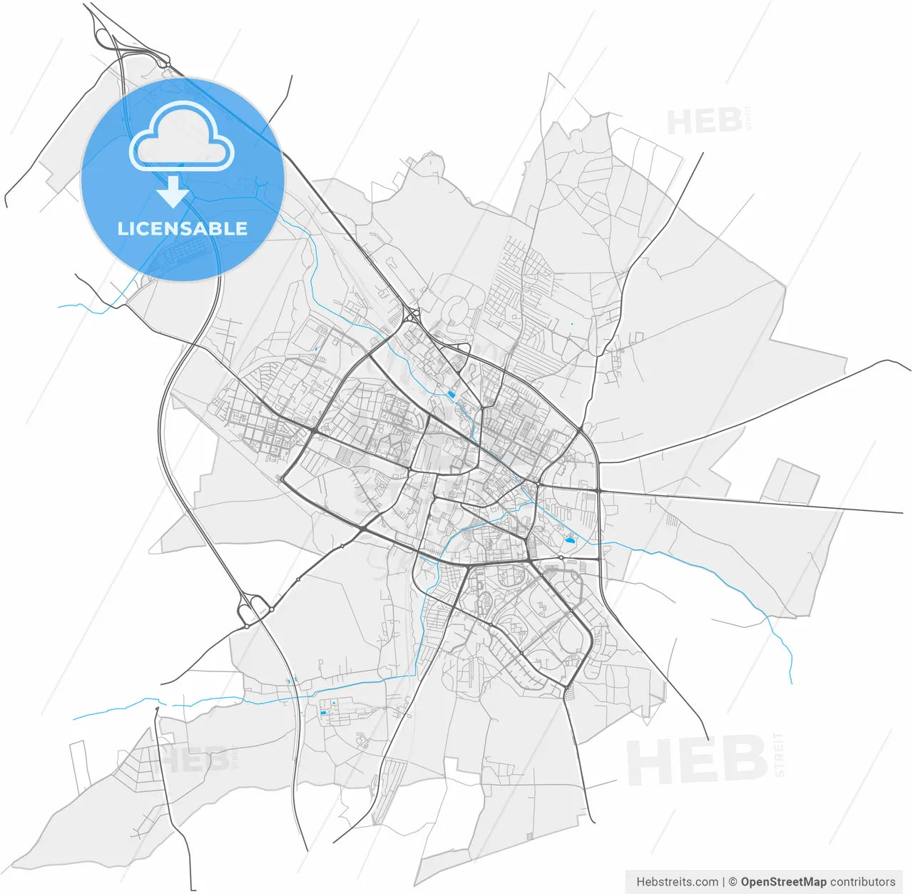 Lubin, Lower Silesian, Poland, high resolution vector map - Instant download PDF and JPG