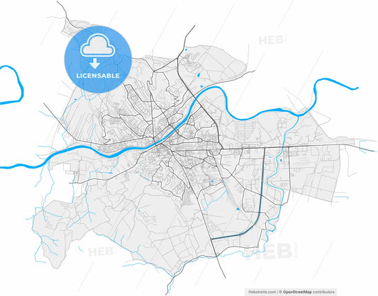 Przemyśl, Podkarpackie, Poland, high resolution vector map - Instant download PDF and JPG