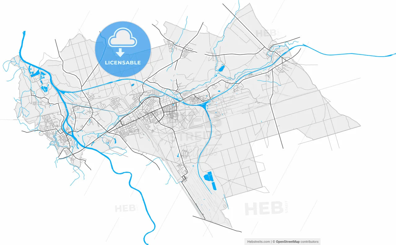 Kędzierzyn-Koźle, Opole, Poland, high resolution vector map - Instant download PDF and JPG