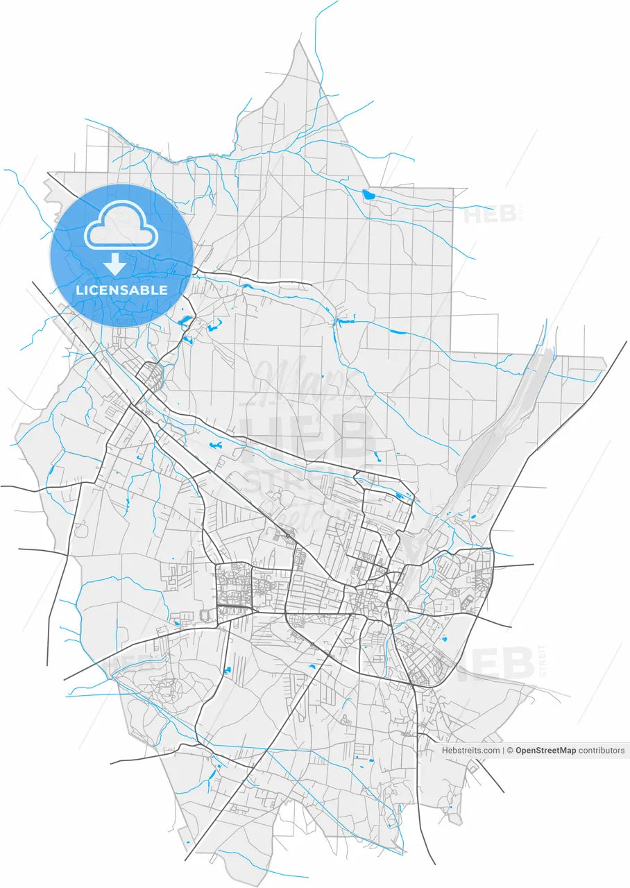 Tarnowskie Góry, Silesian, Poland, high resolution vector map - Instant download PDF and JPG