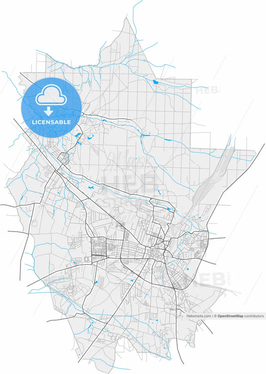 Tarnowskie Góry, Silesian, Poland, high resolution vector map - Instant download PDF and JPG