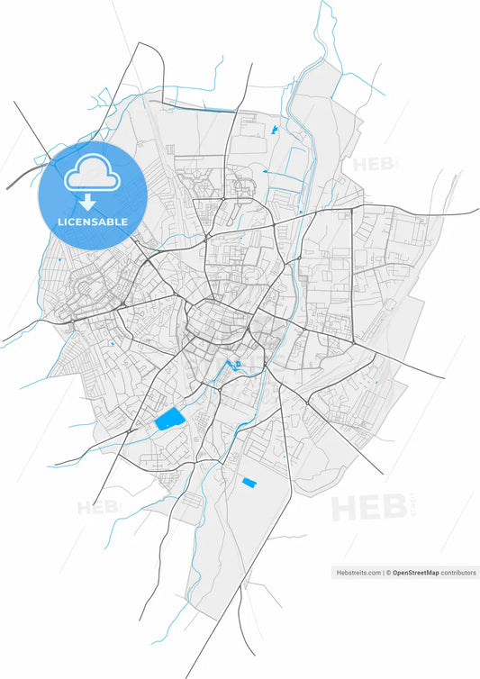 Świdnica, Lower Silesian, Poland, high resolution vector map - Instant download PDF and JPG