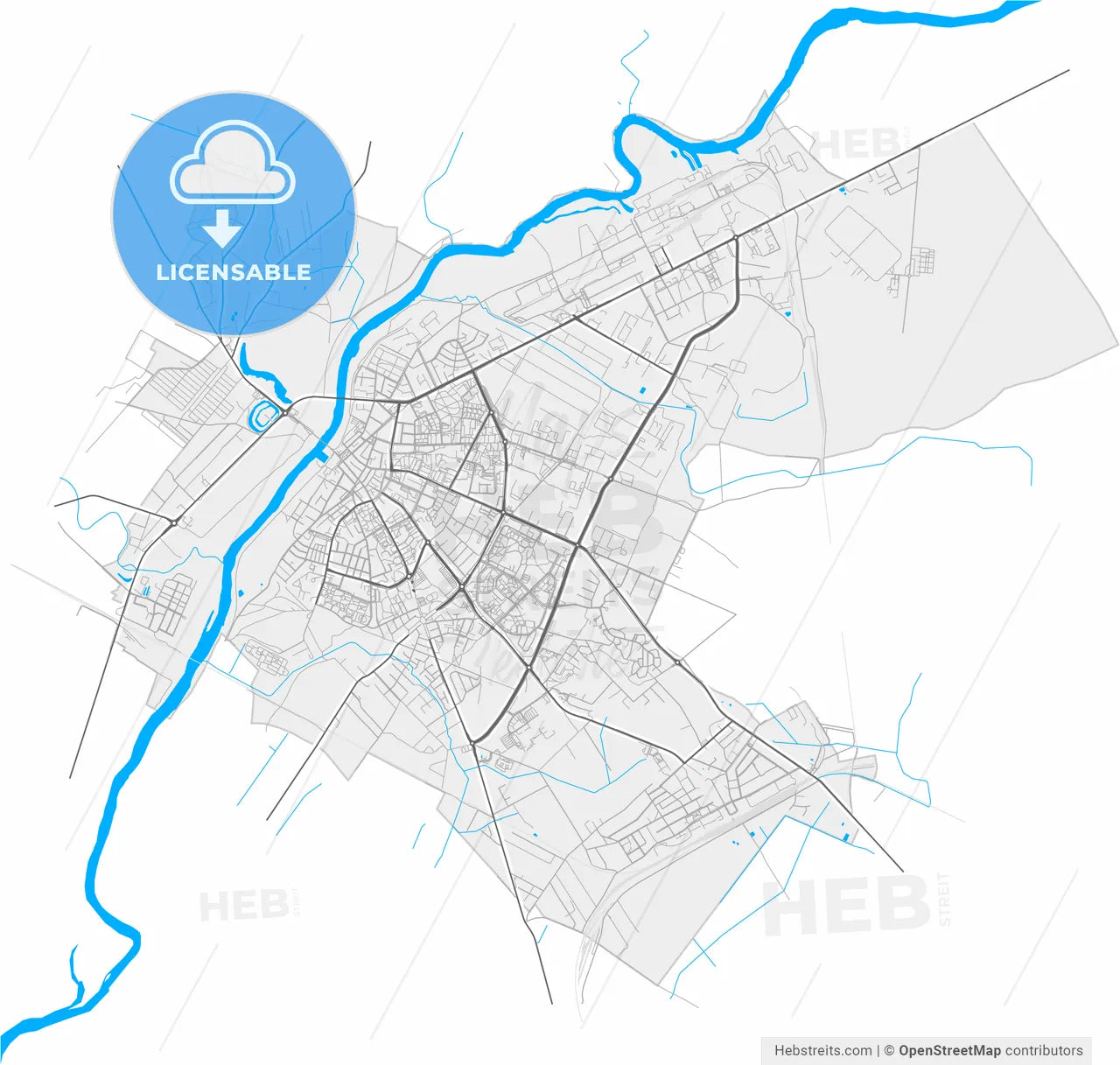 Ostrołęka, Masovian, Poland, high resolution vector map - Instant download PDF and JPG