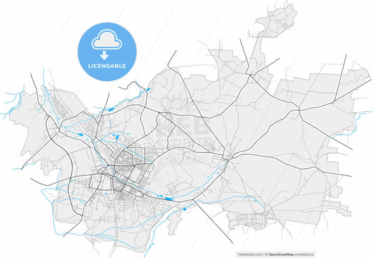 Zawiercie, Silesian, Poland, high resolution vector map - Instant download PDF and JPG