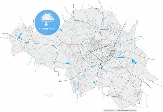 Wodzisław Śląski, Silesian, Poland, high resolution vector map - Instant download PDF and JPG