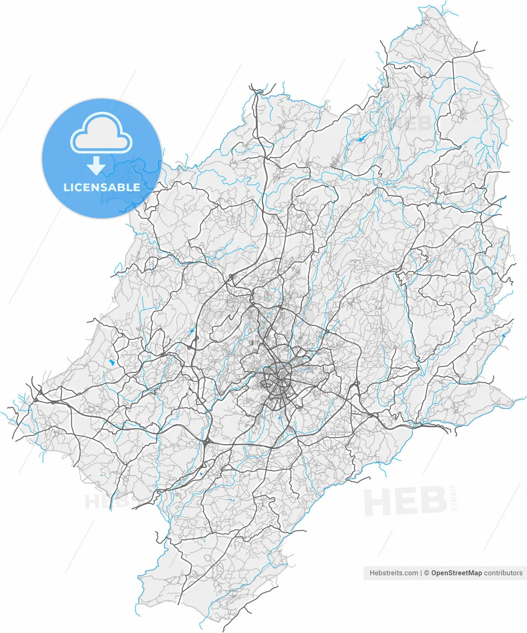 Viseu, Viseu, Portugal, high resolution vector map - Instant download PDF and JPG