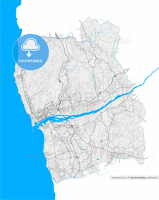 Viana do Castelo, Viana do Castelo, Portugal, high resolution vector map - Instant download PDF and JPG