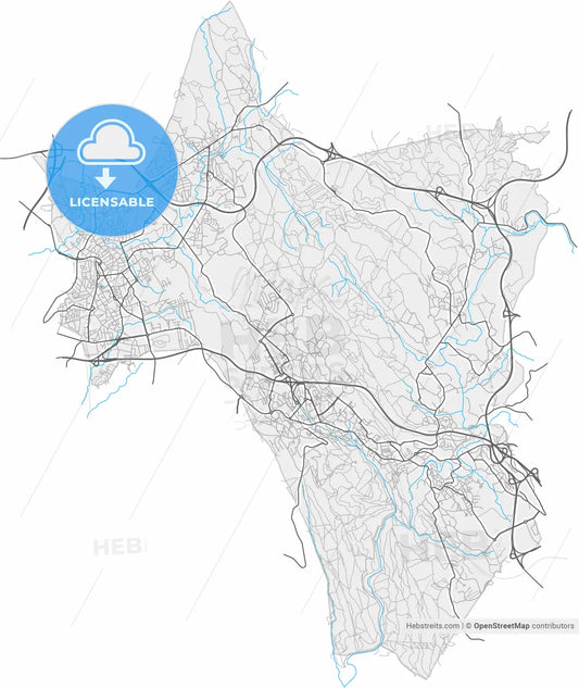 Valongo, Porto, Portugal, high resolution vector map - Instant download PDF and JPG