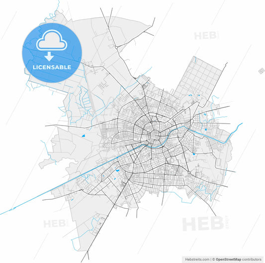 Timișoara, Timiș, Romania, high resolution vector map - Instant download PDF and JPG