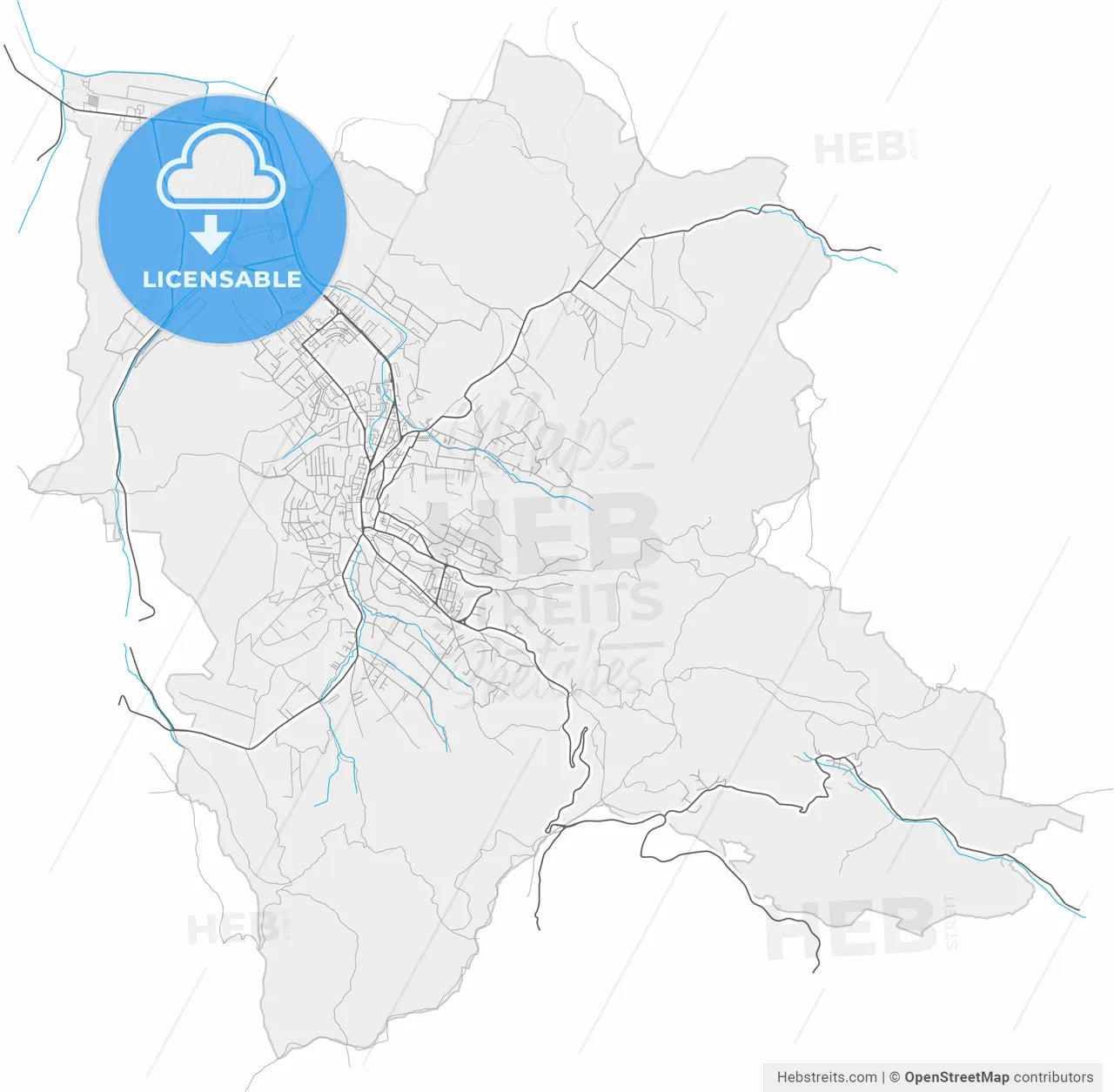 Zalău, Sălaj, Romania, high resolution vector map - Instant download PDF and JPG