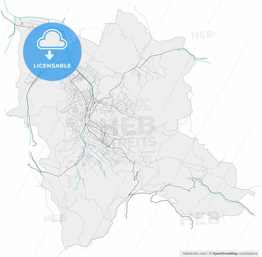 Zalău, Sălaj, Romania, high resolution vector map - Instant download PDF and JPG