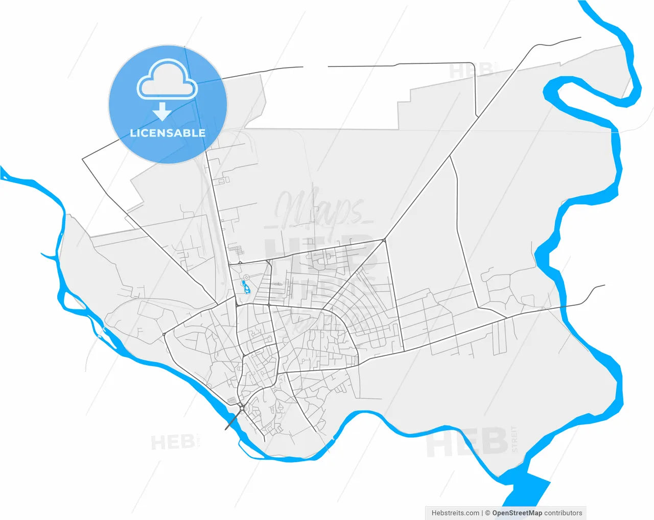 Roman, Neamț, Romania, high resolution vector map - Instant download PDF and JPG
