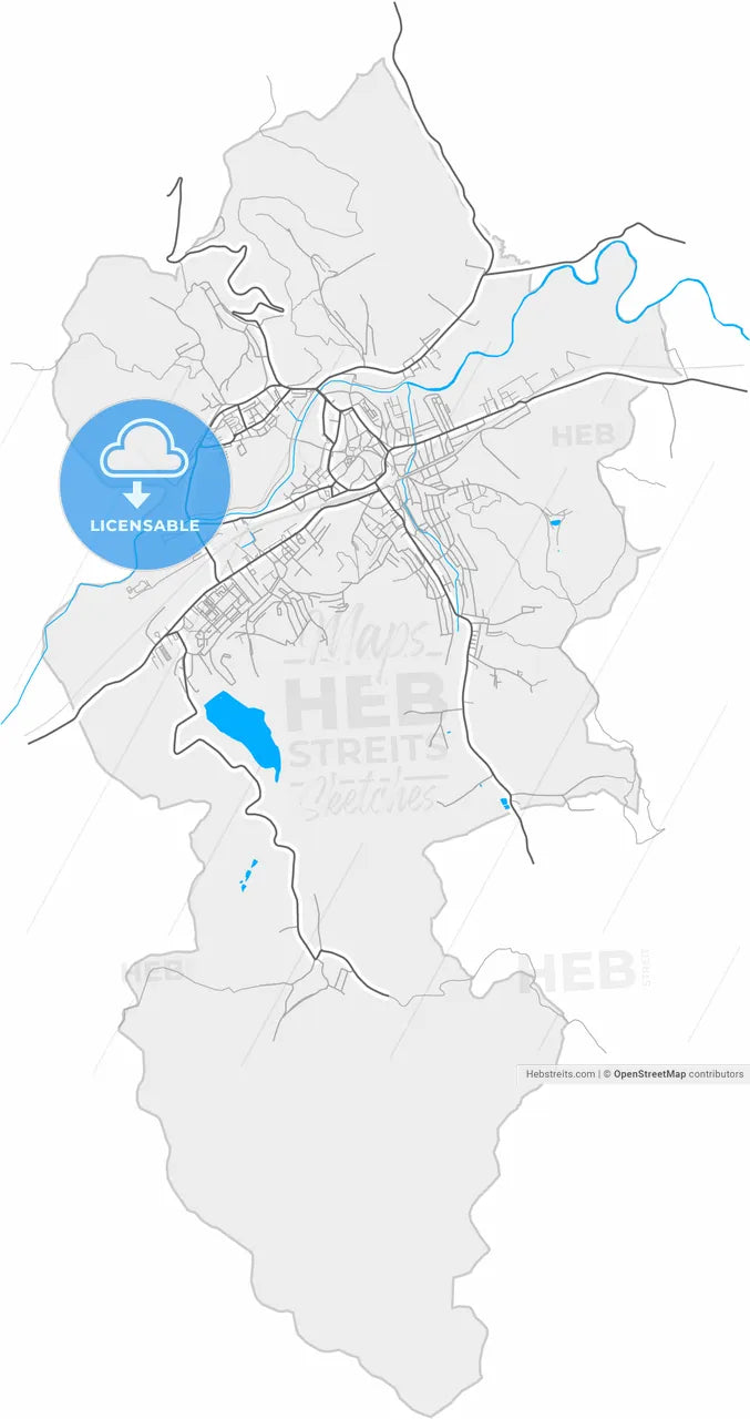 Mediaș, Sibiu, Romania, high resolution vector map - Instant download PDF and JPG