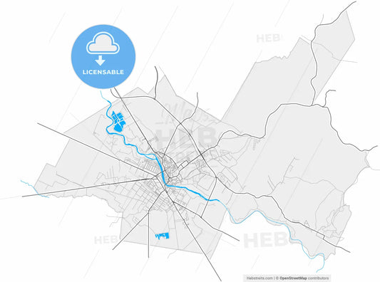 Lugoj, Timiș, Romania, high resolution vector map - Instant download PDF and JPG
