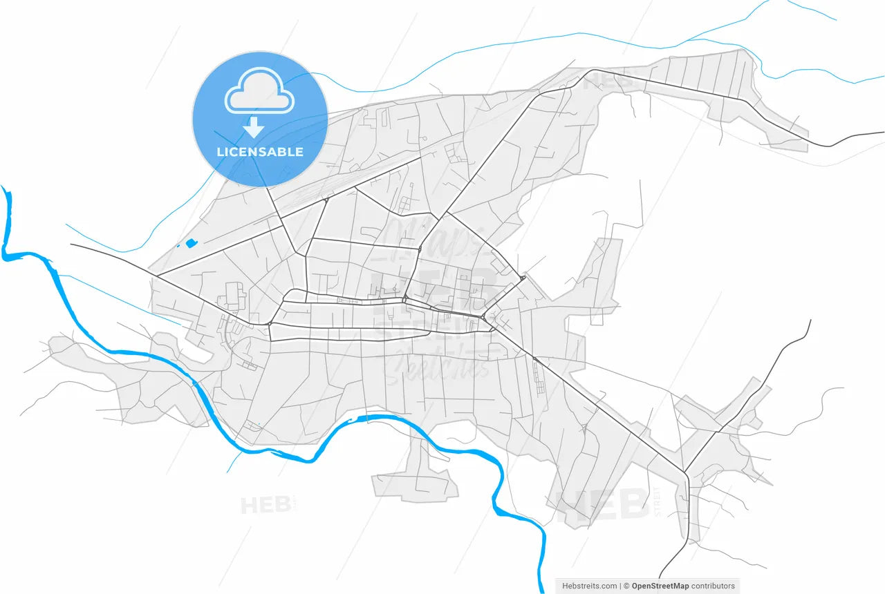 Sighetu Marmației, Maramureș, Romania, high resolution vector map - Instant download PDF and JPG