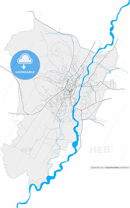 Reghin, Mureș, Romania, high resolution vector map - Instant download PDF and JPG