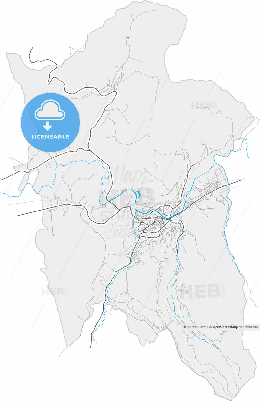 Sighișoara, Mureș, Romania, high resolution vector map - Instant download PDF and JPG