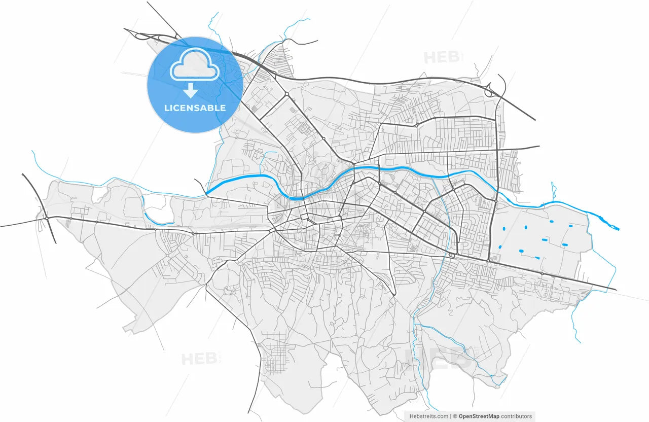Niš, Nišava, Serbia, high resolution vector map - Instant download PDF and JPG