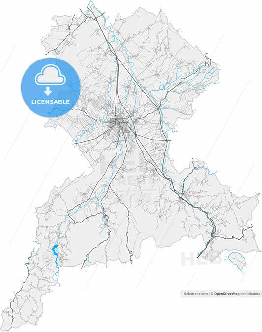 Leskovac, Jablanica, Serbia, high resolution vector map - Instant download PDF and JPG