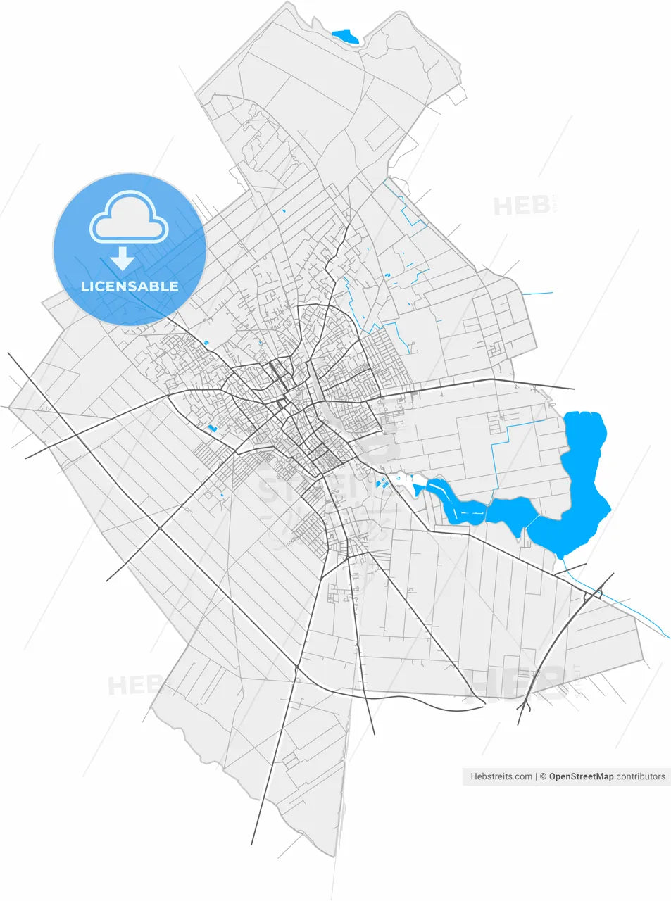 Subotica, North Bačka, Serbia, high resolution vector map - Instant download PDF and JPG