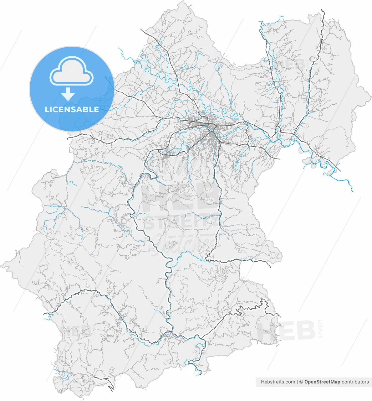 Kraljevo, Raška, Serbia, high resolution vector map - Instant download PDF and JPG